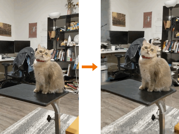 Space-time Neural Irradiance Fields